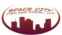 Space City Fish Coupons Space City Fish Coupons